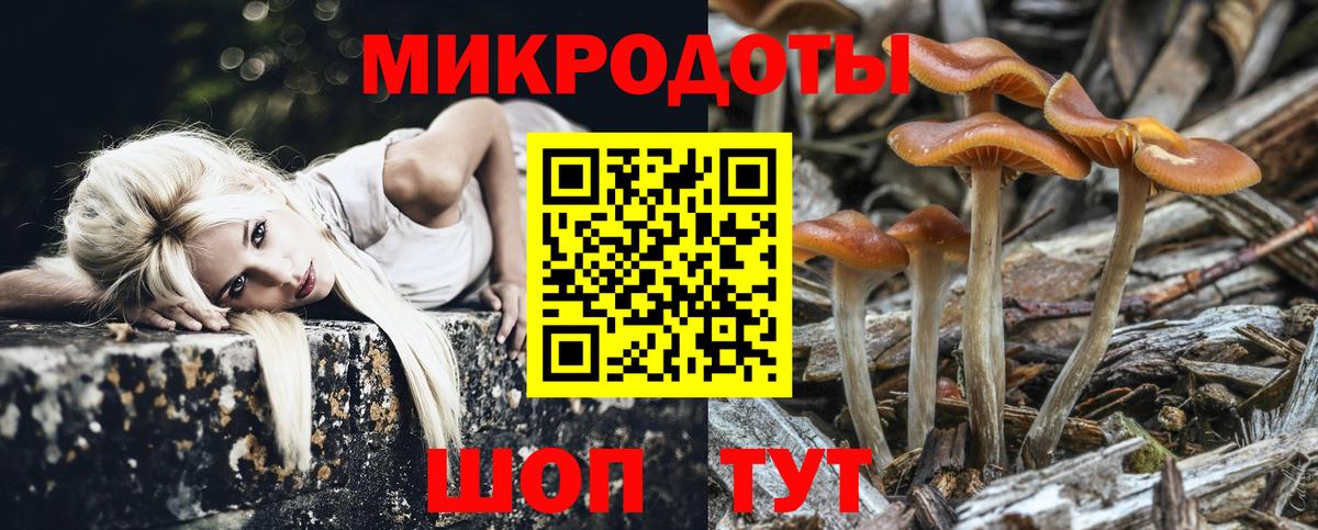 Псилоцибиновые грибы Psilocybine cubensis Богданович